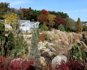 천리포수목원 숙박안내&amp;#44; 목련축제_11