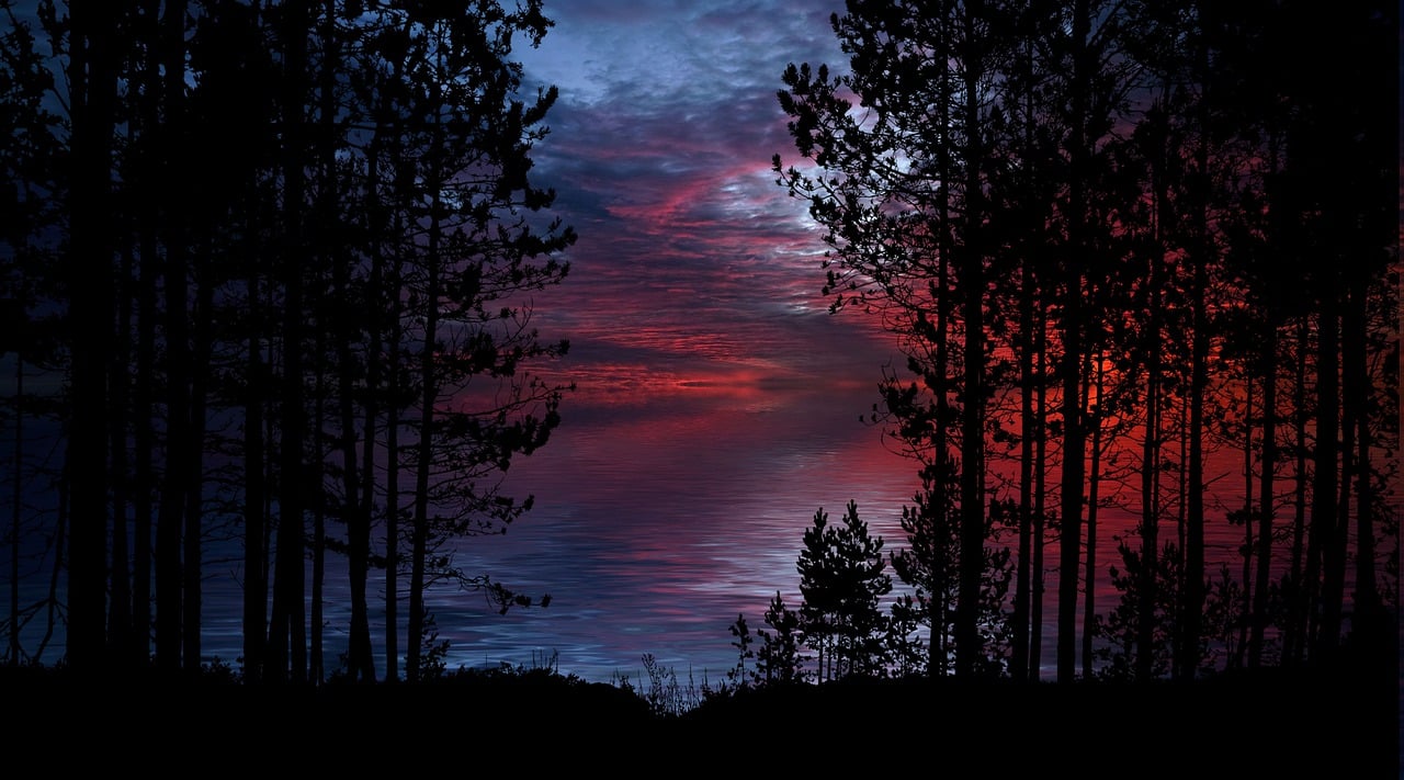 미스터리 관련 이미지