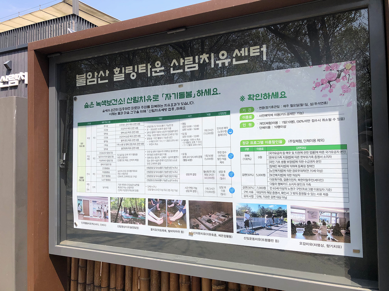 불암산 산림치유센터 프로그램