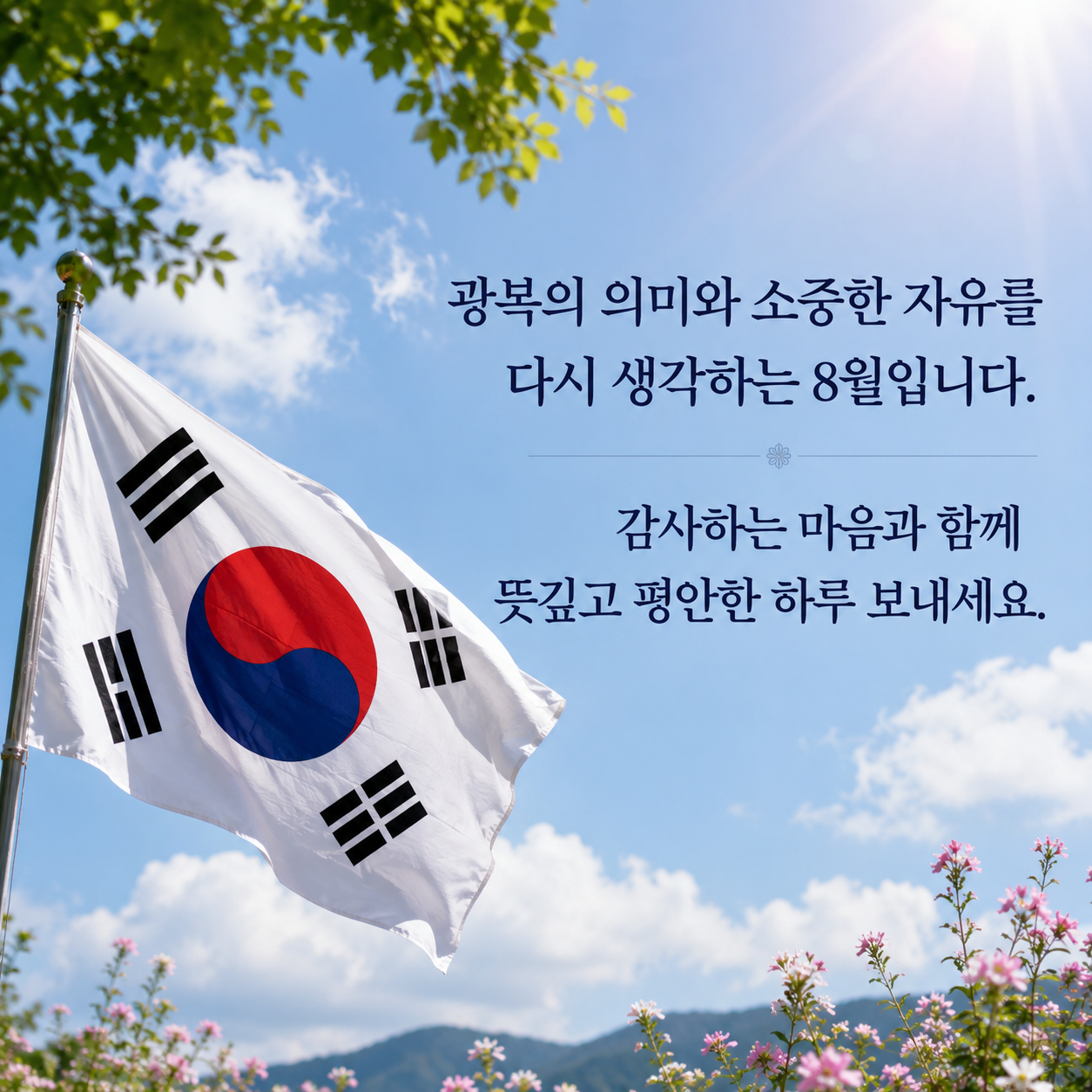 8월 인사말 문구 이미지 모음집