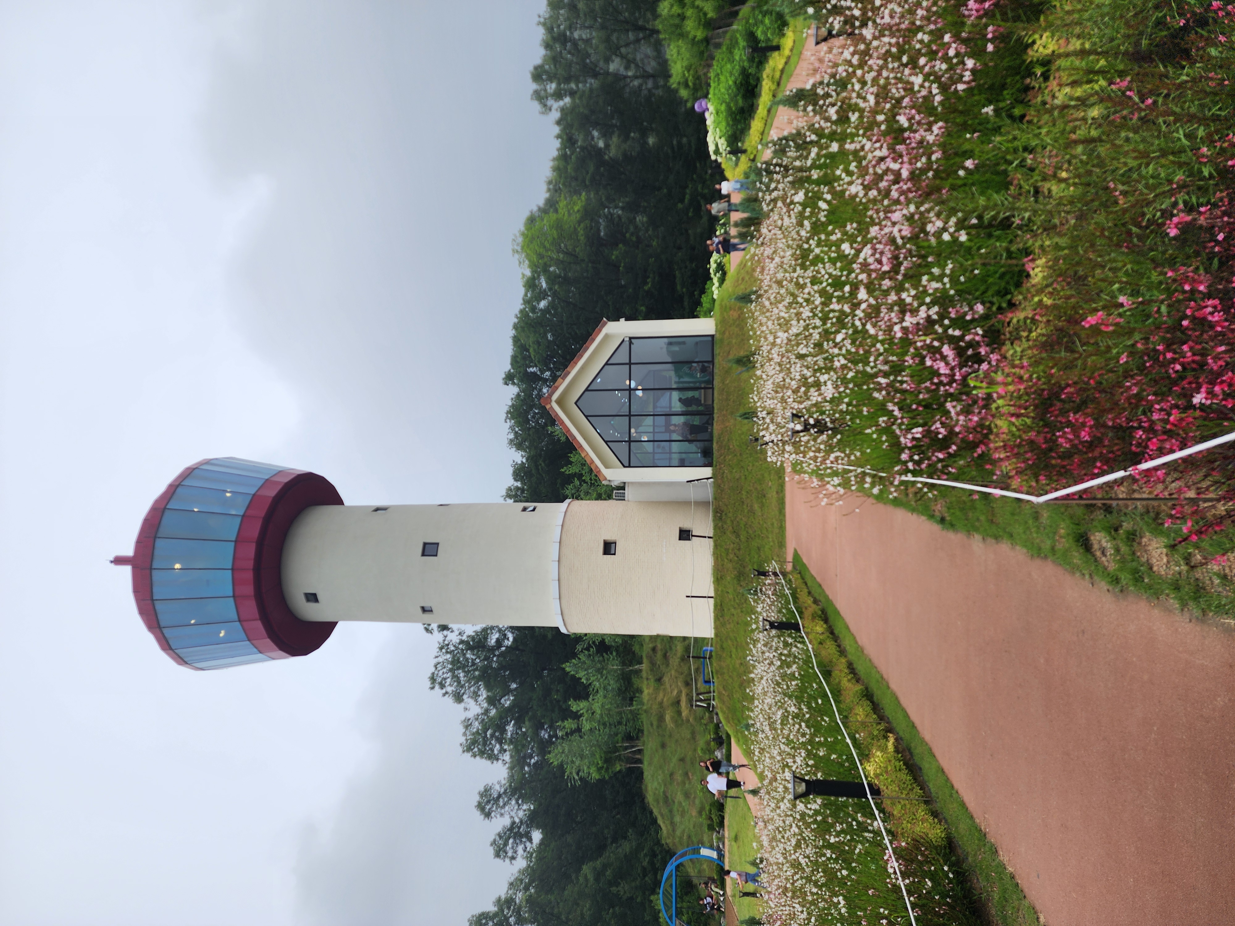 베툴라 in 용인