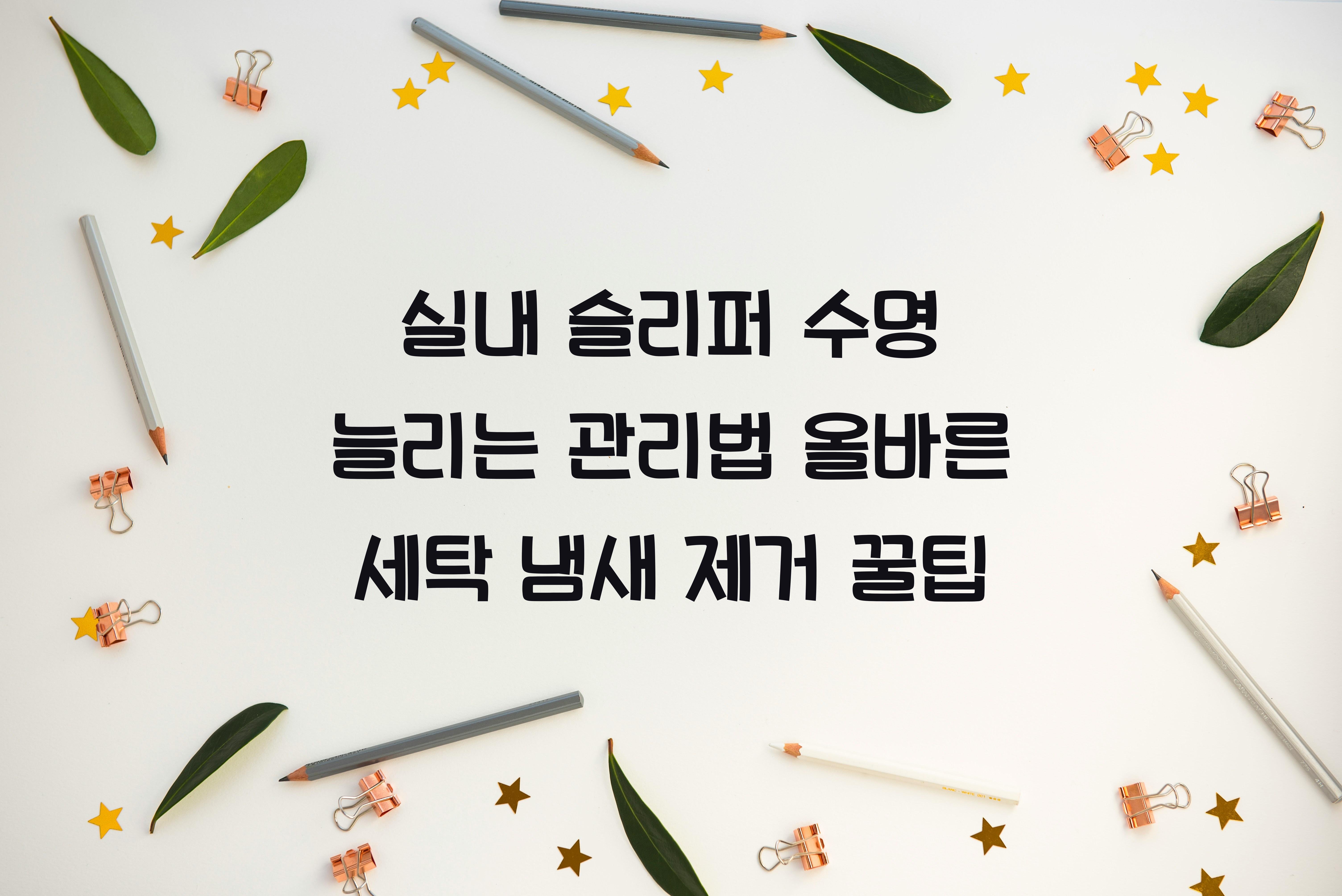 실내 슬리퍼 수명 늘리는 관리법