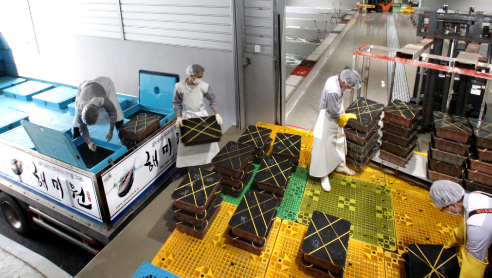 EBS1 극한직업 〈명절 선물, 전복 판매처〉 위치정보