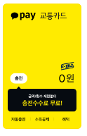 카카오페이 K-패스 신청 바로가기