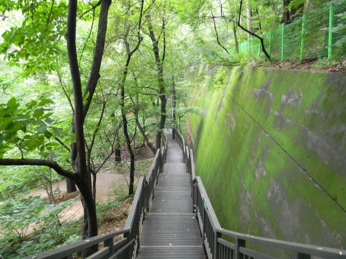 천장산하늘길 홍릉수목원 구간