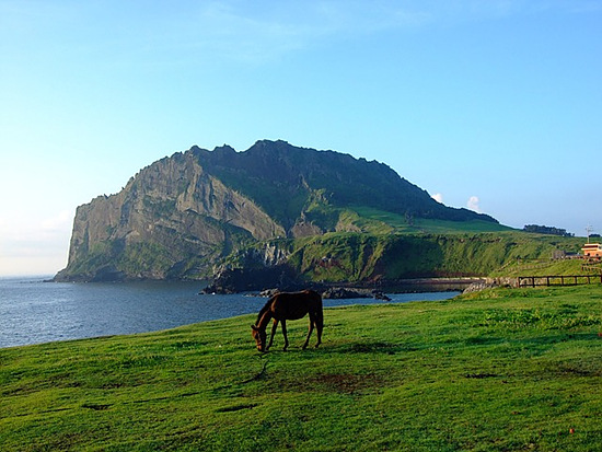 제주 4월 