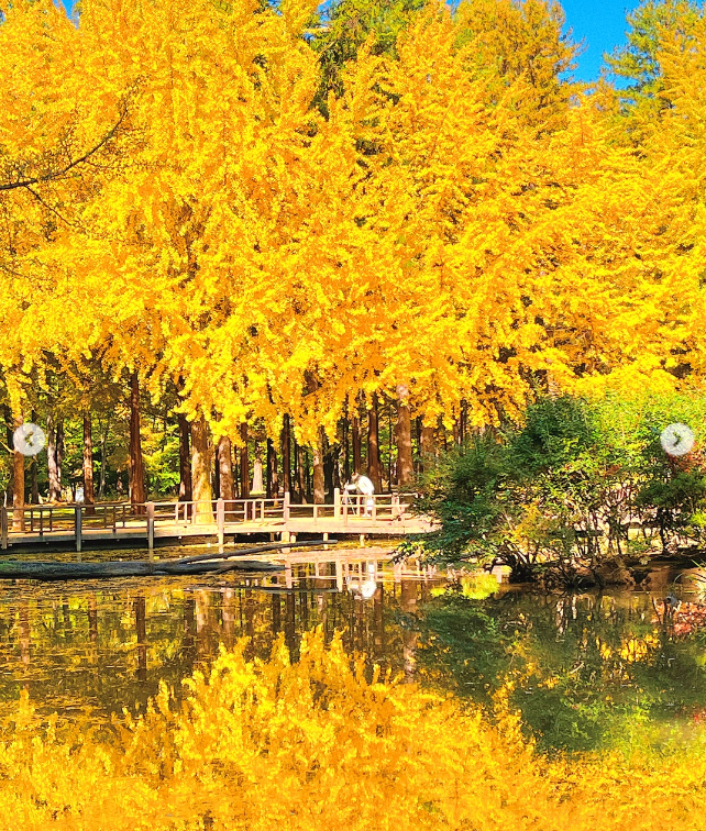 올가을 꼭 가야 할 감성숙소 BEST 7