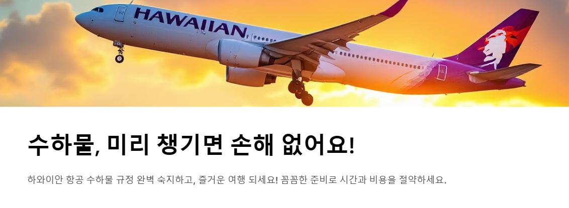 하와이안 항공 수하물 규정 -기내 수하물부터 위탁 수하물, 초과 요금 총정리