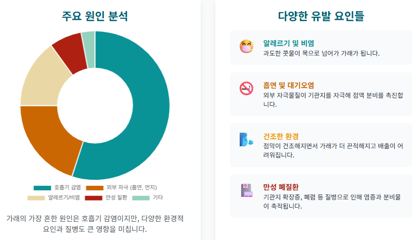잦은 기침과 가래, 혹시 만성 질환의 신호일까? 증상별 원인과 관리법