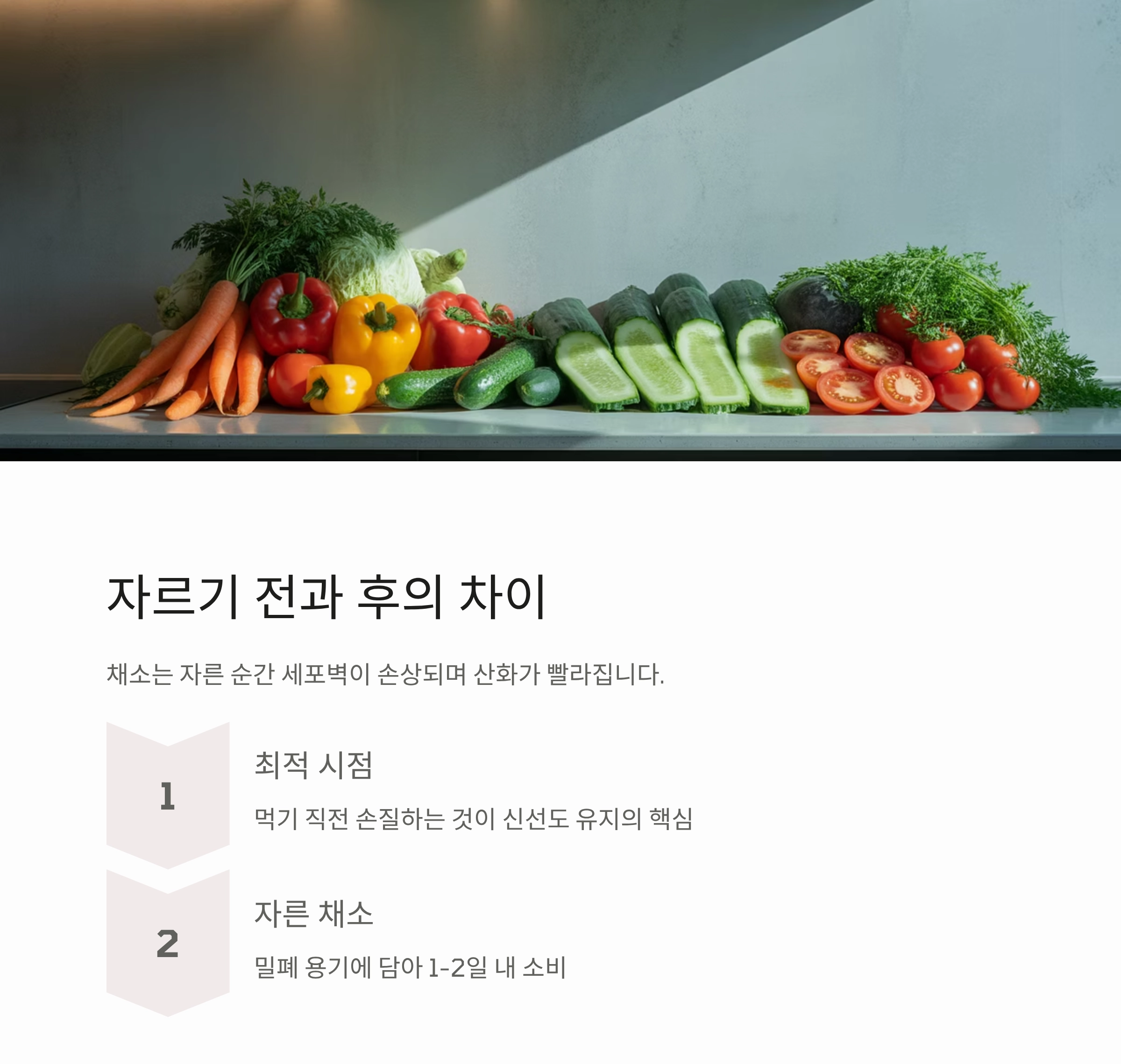 채소 오래 보관하는 과학적인 방법, 신선함 지키는 비밀