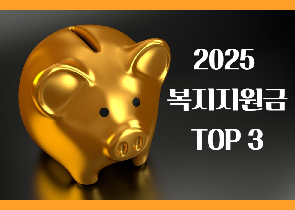 2025년 복지 지원금 TOP3를 설명하기 위한 관련 사진