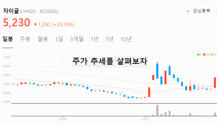 AI 의료기기 관련주 대장주 테마주 TOP5