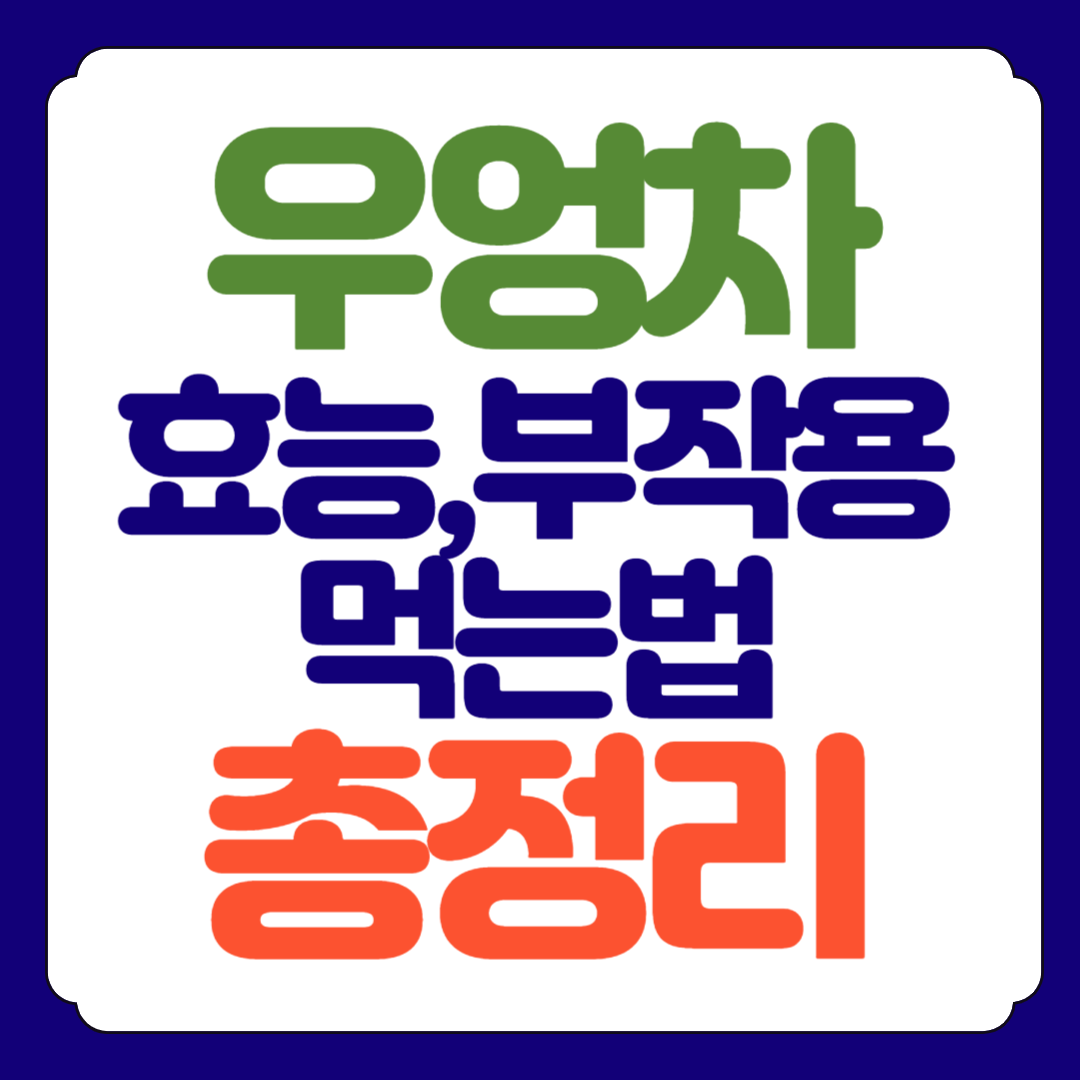 우엉차 효능, 부작용, 먹는방법 총정리