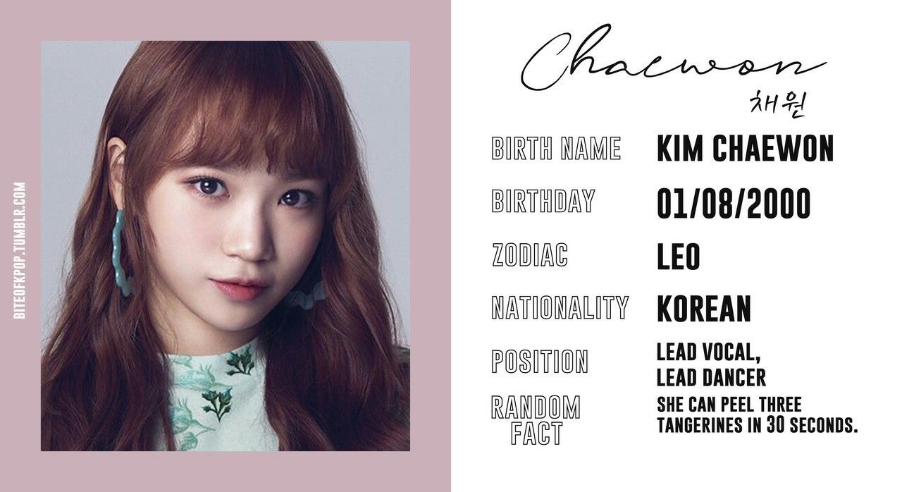 김채원 사진 모음 김채원 사진 모음