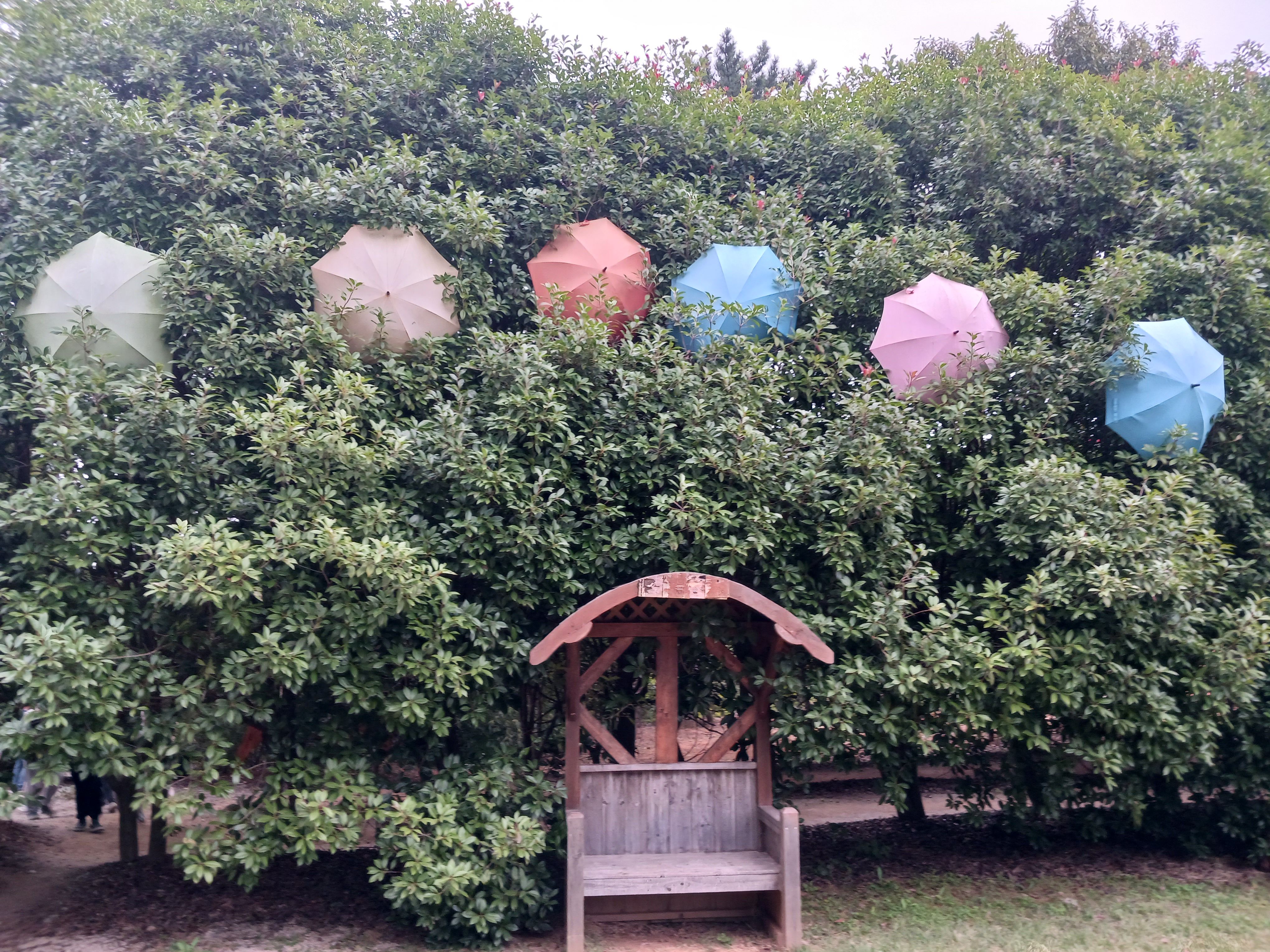 청산수목원