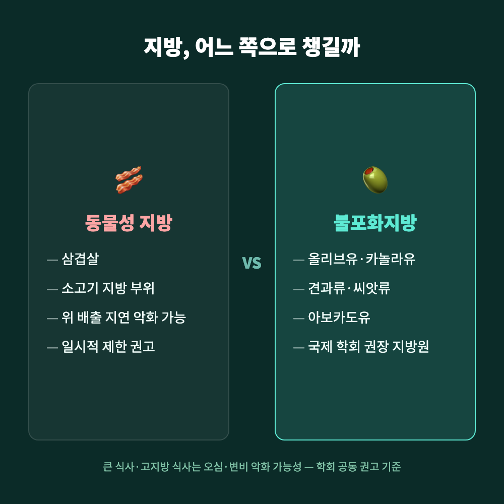 삼겹살&middot;소고기 같은 동물성 포화지방과 올리브유&middot;견과류 등 불포화지방을 비교해 위고비 투여 중 위장관 부작용을 줄이는 지방 선택 기준을 보여주는 일러스트