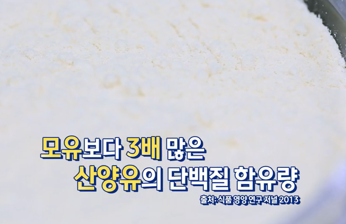 산양유 단백질 효능