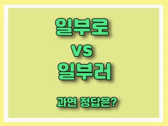 일부러 일부로 맞춤법 뜻 사투리_24