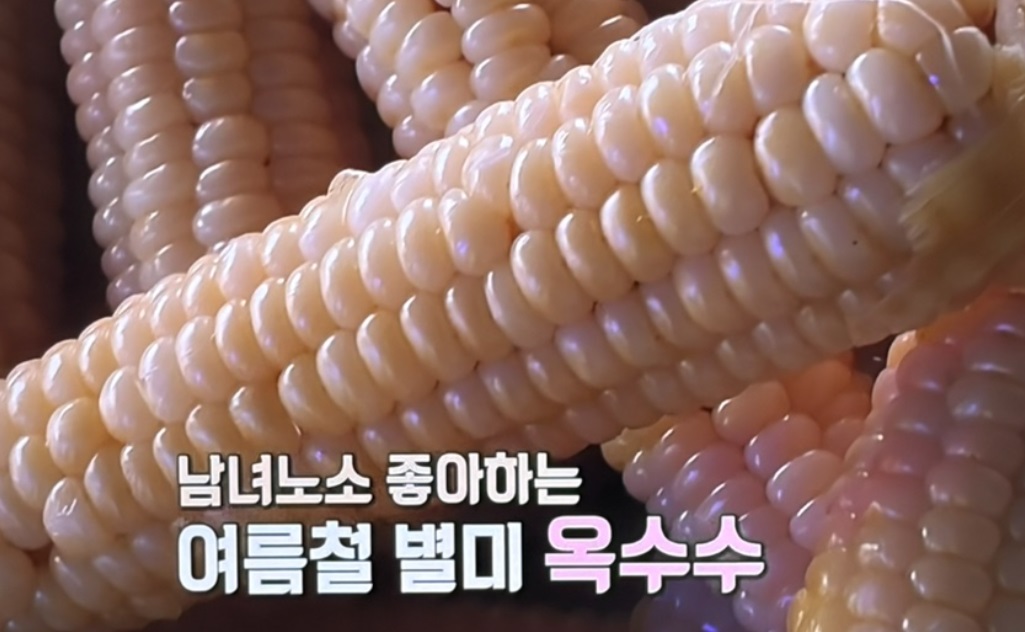 극한직업-괴산-대학찰옥수수-가마솥-
