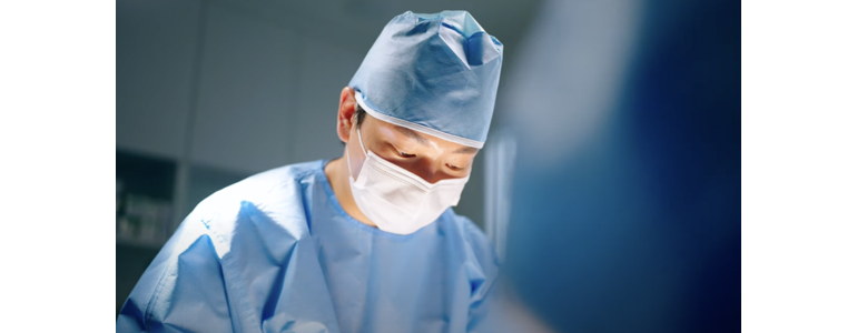 서울 마포구 동물병원