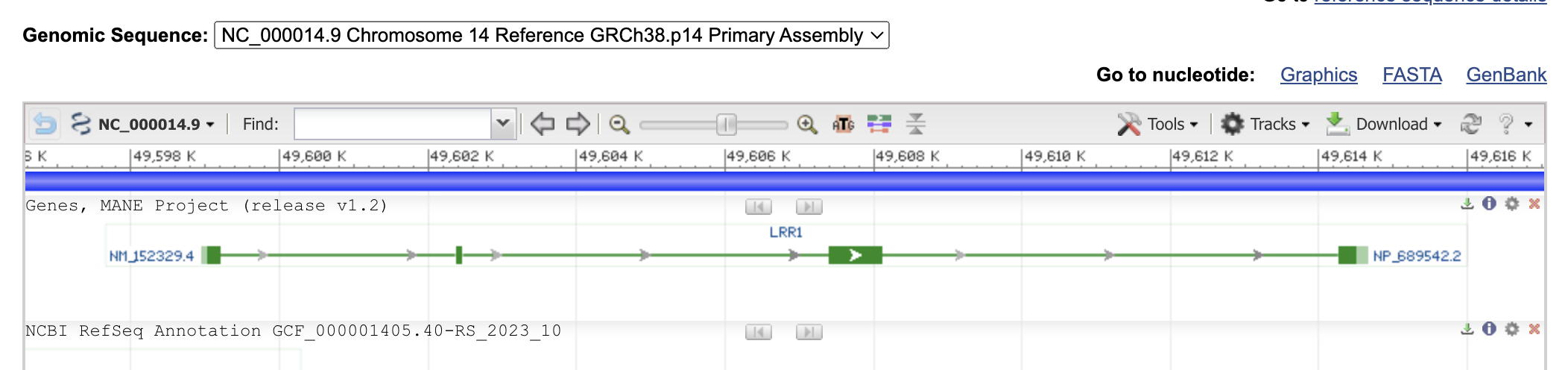 LRR1 NCBI genome browser