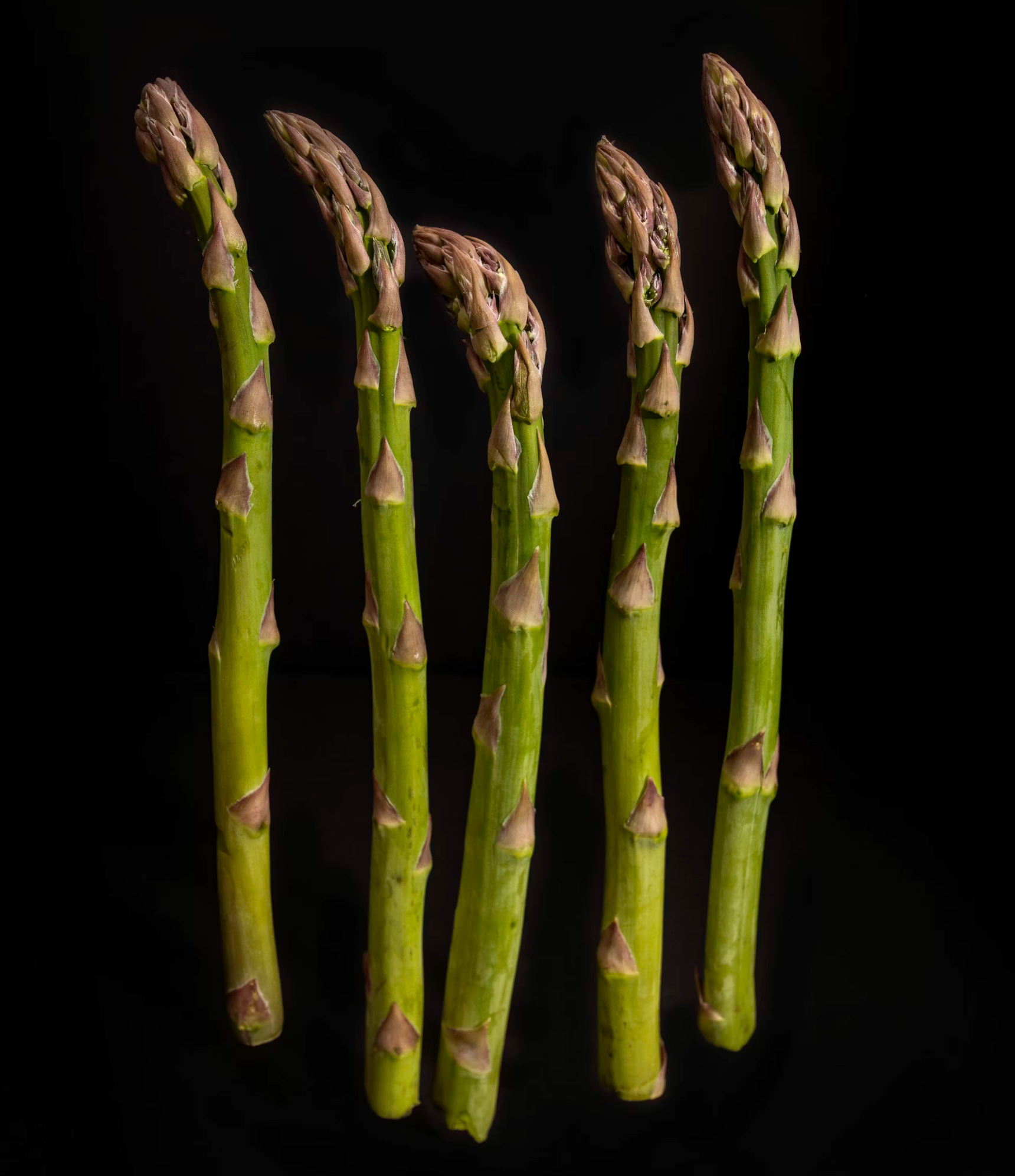 아스파라거스 손질법