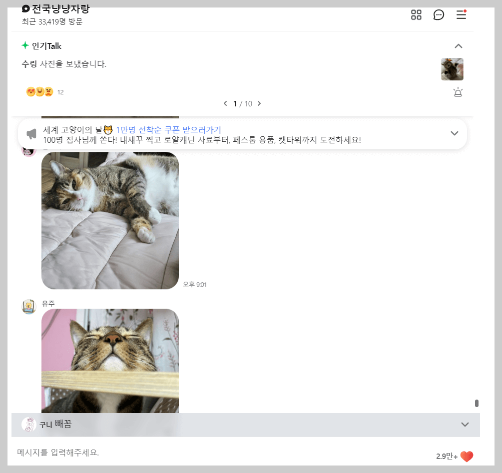 고양이의 날 냥냥자랑 대회