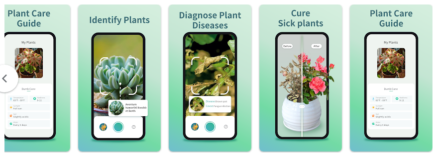 식물이름 찾기 어플, 핸드폰 식물사진으로 검색하고 식물식별 이름 찾기
