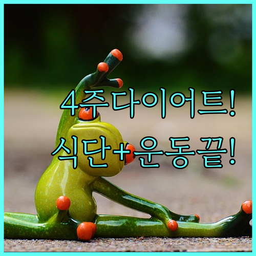 성공적인 다이어트를 위한 4주 식단 ..