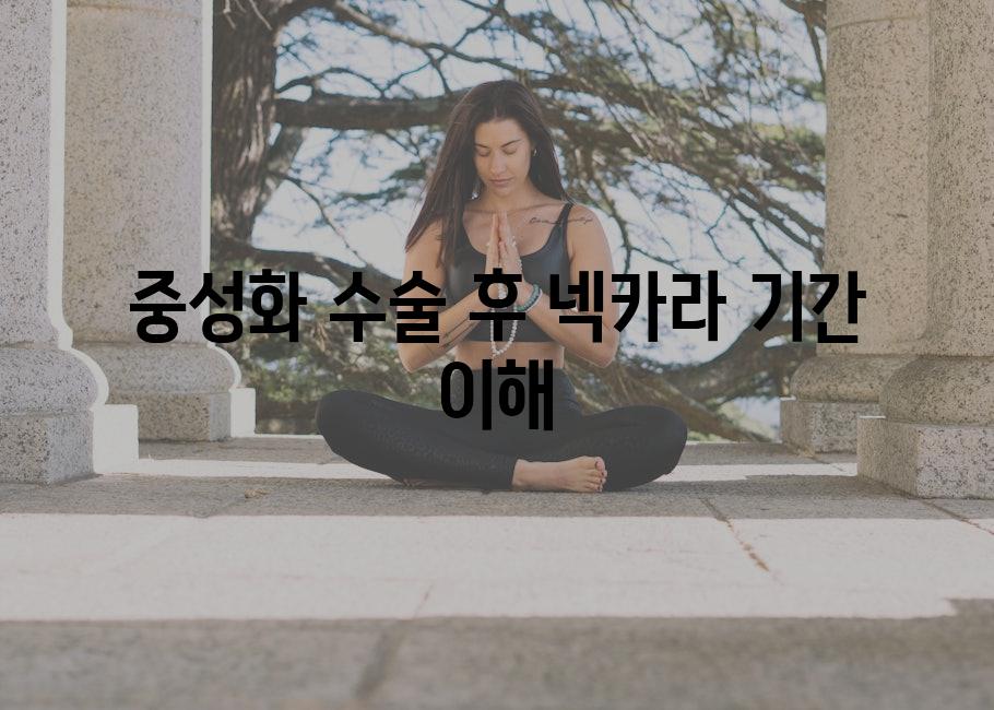 중성화 수술 후 넥카라 기간 이해