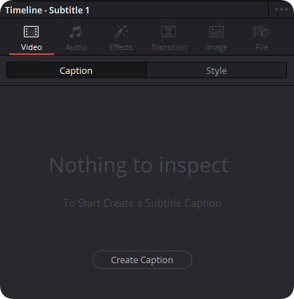 Video의 Caption 영역