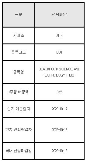 미국주식 선택배당 안내 BST