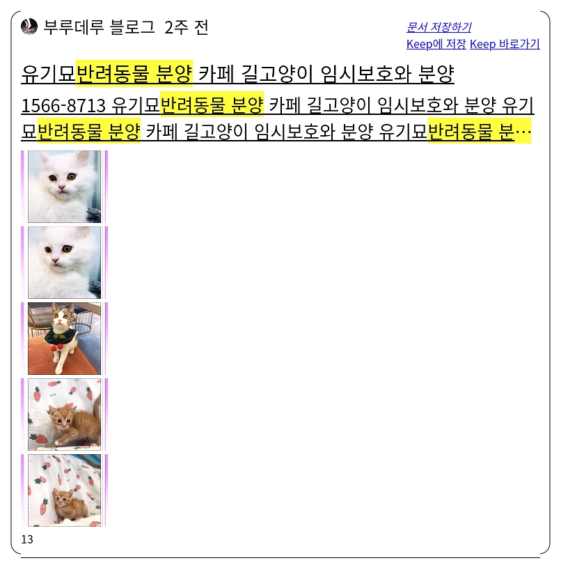 반려동물 분양_1_subsection