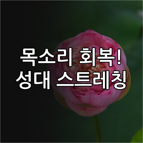 성대 결절 증상 완화 돕는 목 주변 ..