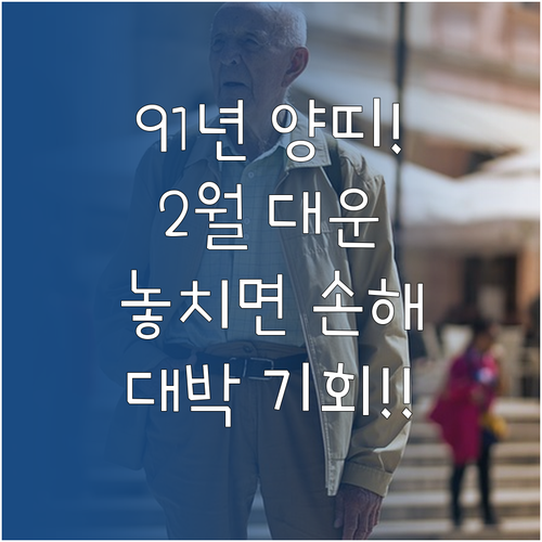 1991년생 양띠 2월 운세 총정리 ..