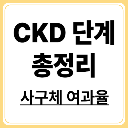 CKD 단계별 뜻과 관리법! GFR 수치 쉽게 이해하기
