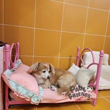 ํธ๋ก๋ฎ์ธ์น๊ตฌ๋ค ์์ง์ 