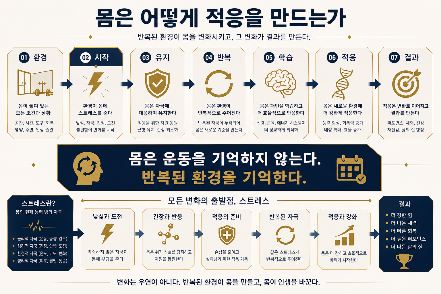 몸은 어떻게 적응을 만드는가