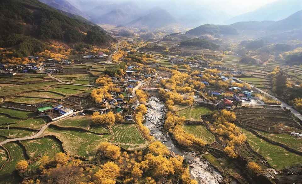 2023 구례 산수유축제