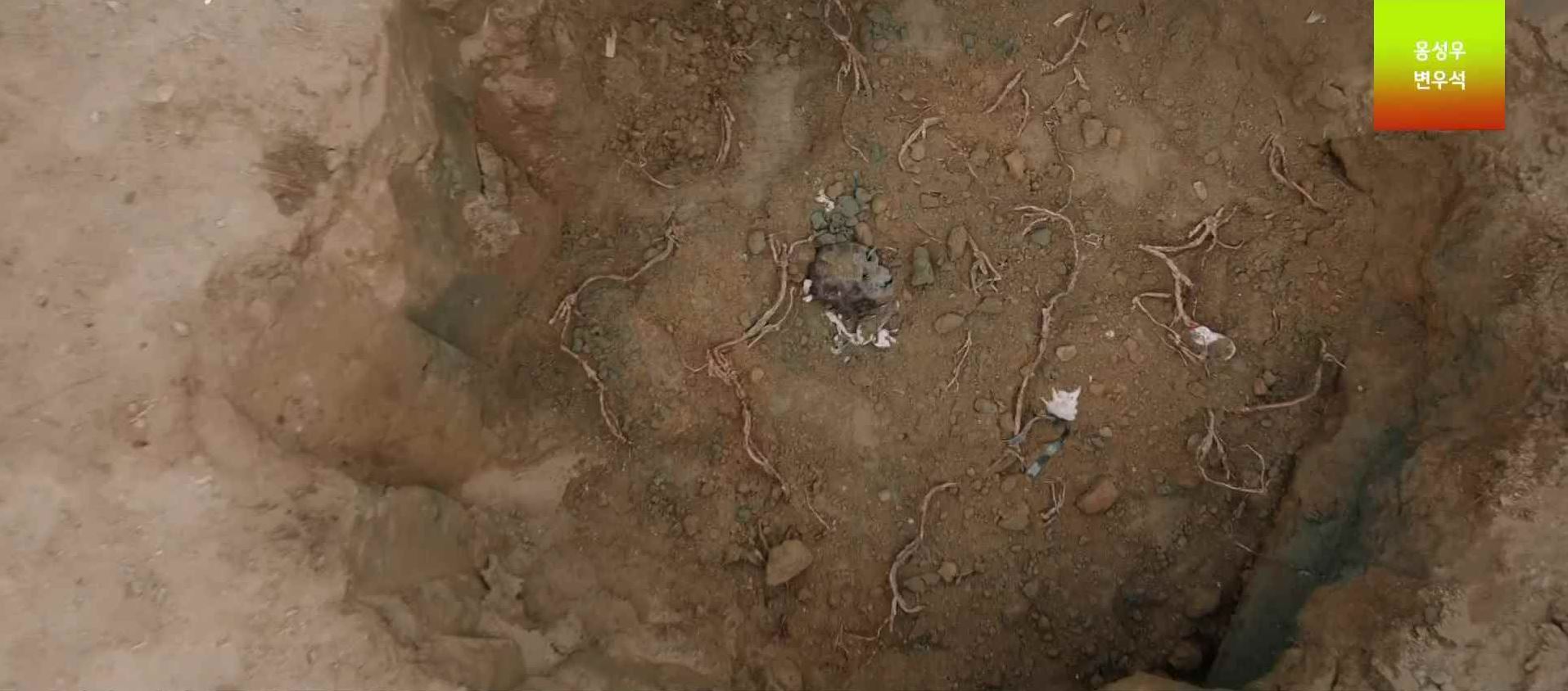 이연애는불가항력_11회