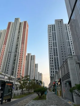 시흥 가볼만한곳 베스트10 현지인 추천 필수코스_19