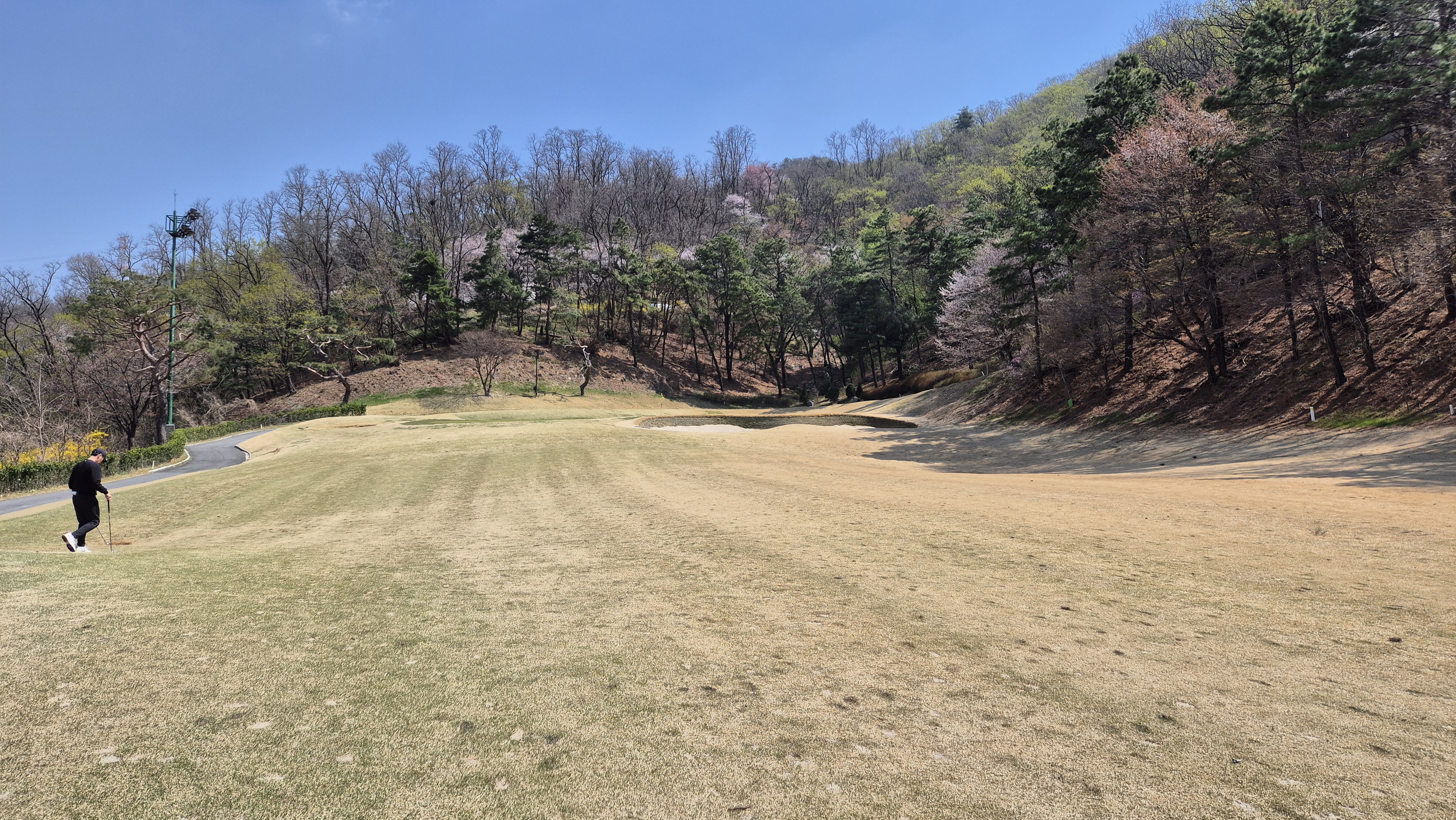 캐슬렉스cc