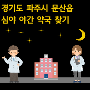 파주시 문산읍 심야 야간 약국 찾기