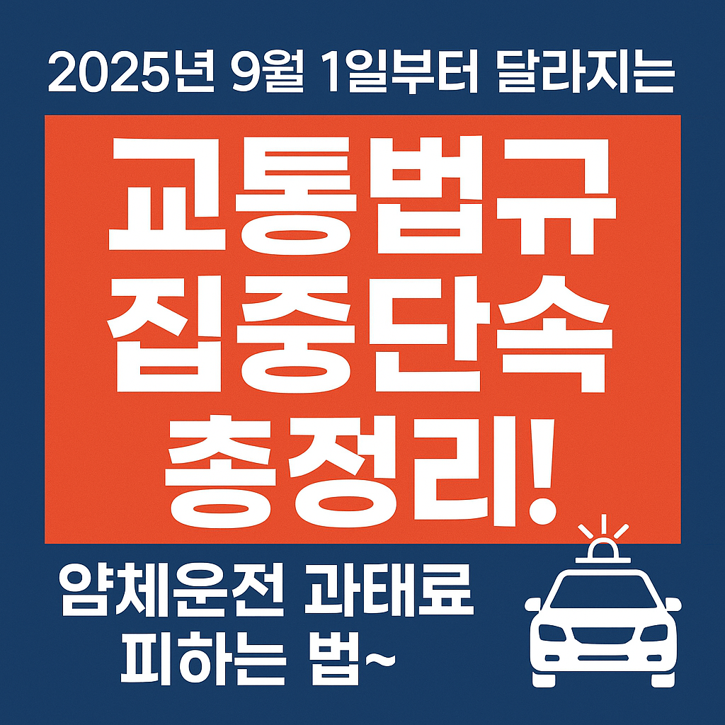 2025년 9월 1일부터 달라지는 교통법규 집중단속 총정리! 얌체운전 과태료 피하는 법~ 🚔