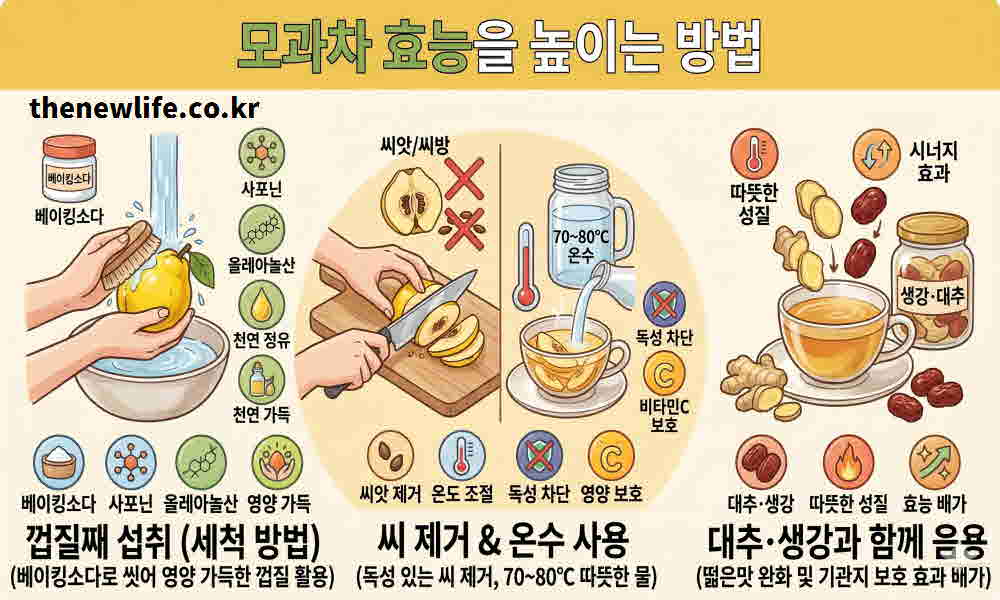 모과차 효능 높이는 방법