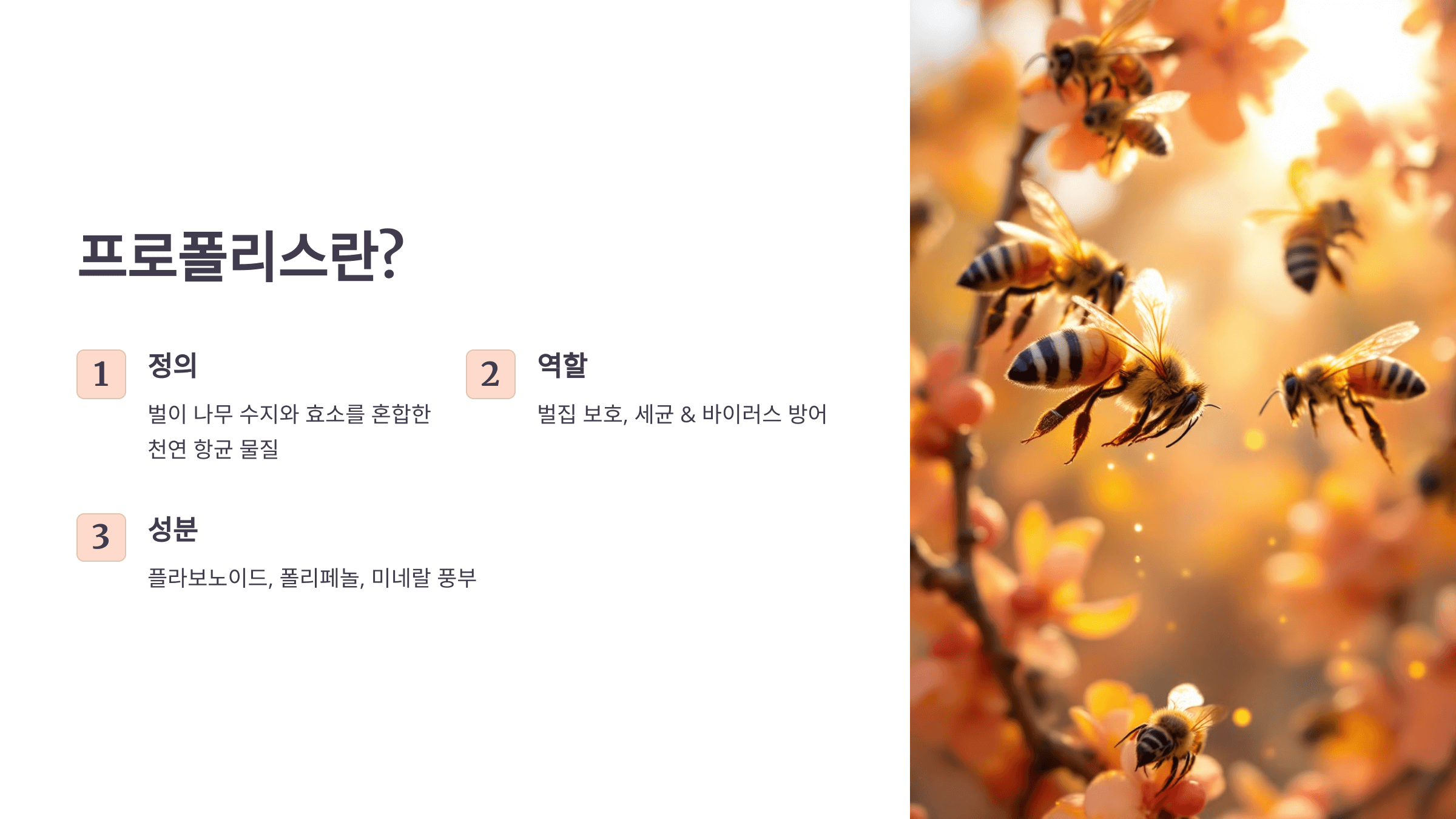 프로폴리스 사진입니다.