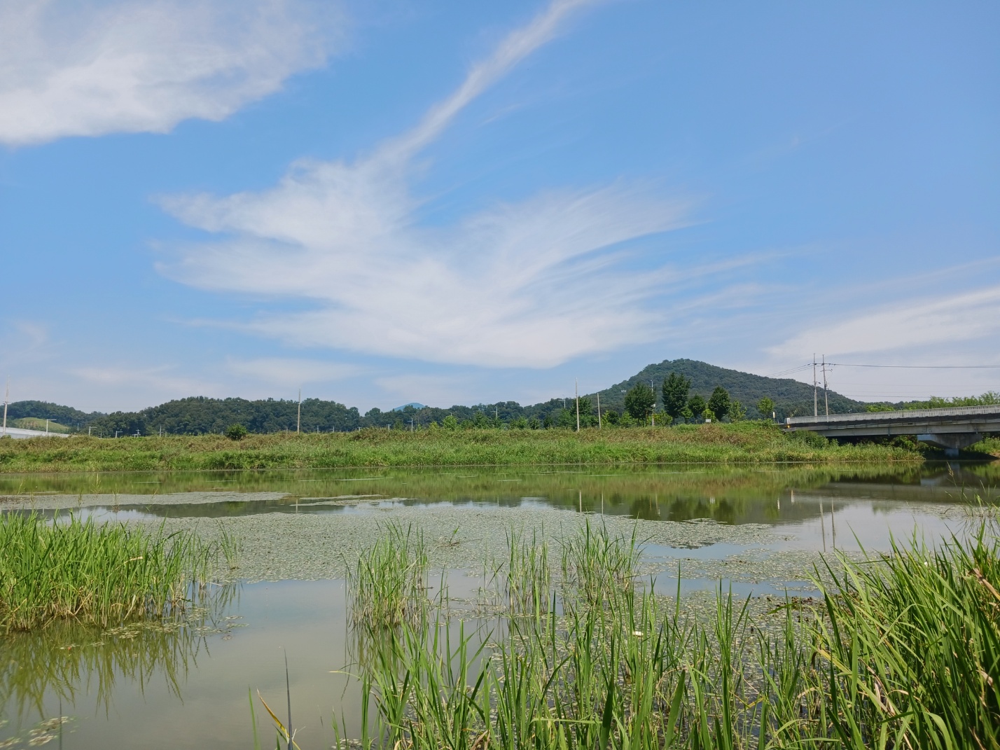 주덕보