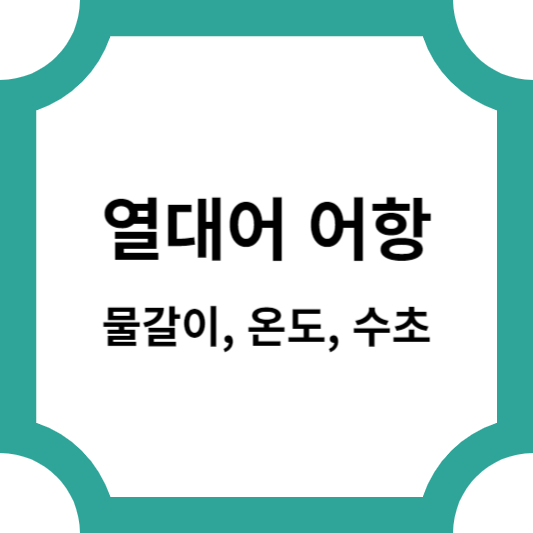 열대어 어항