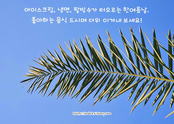달달한하루