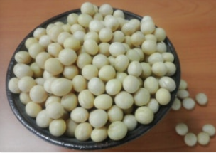 메주콩-사진9
